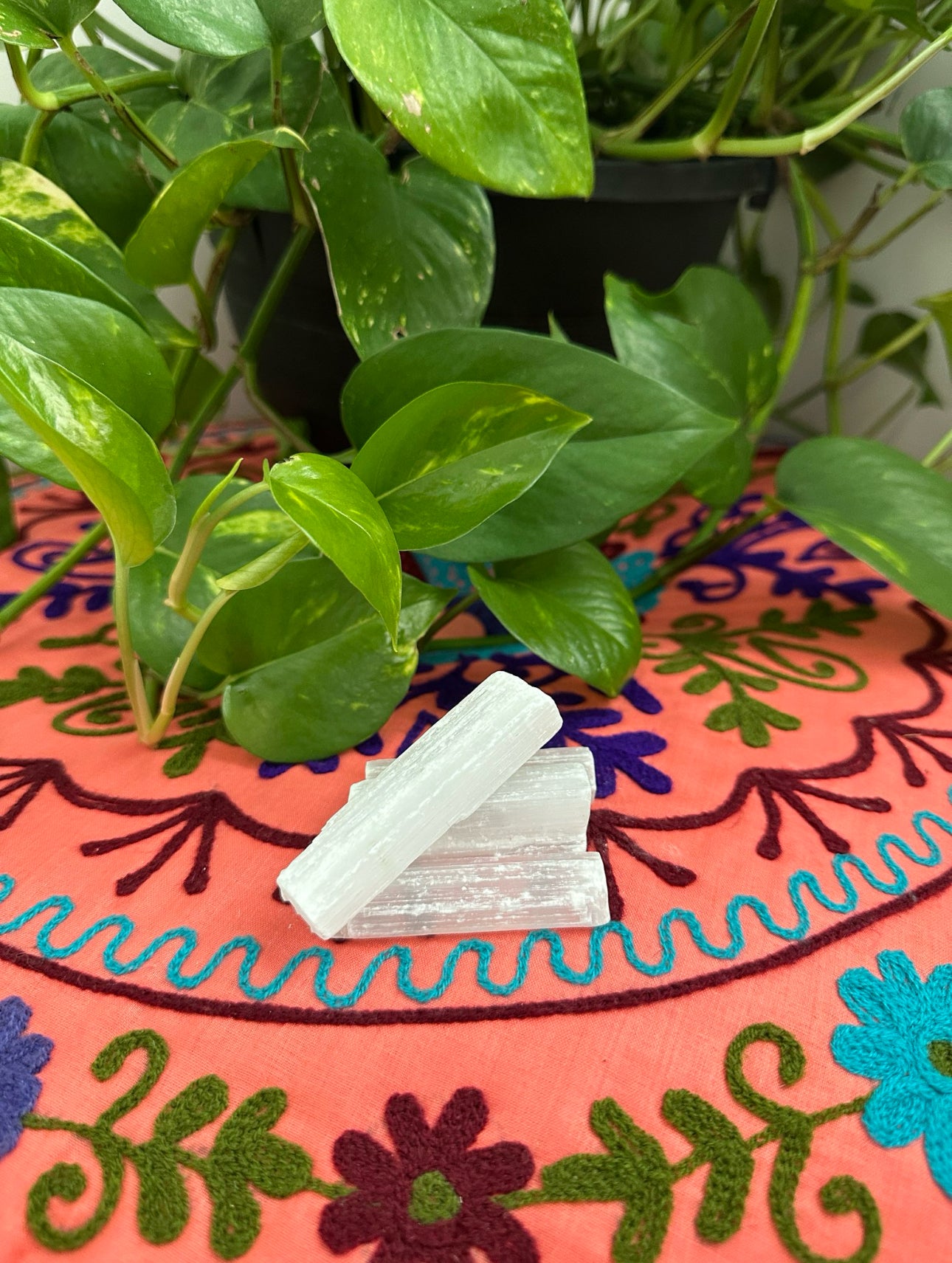 Selenite Bars